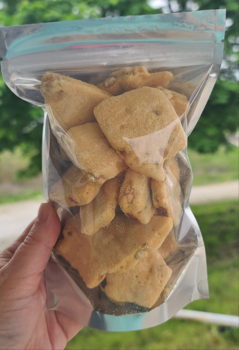 Freeze Dried Peanut Brittle