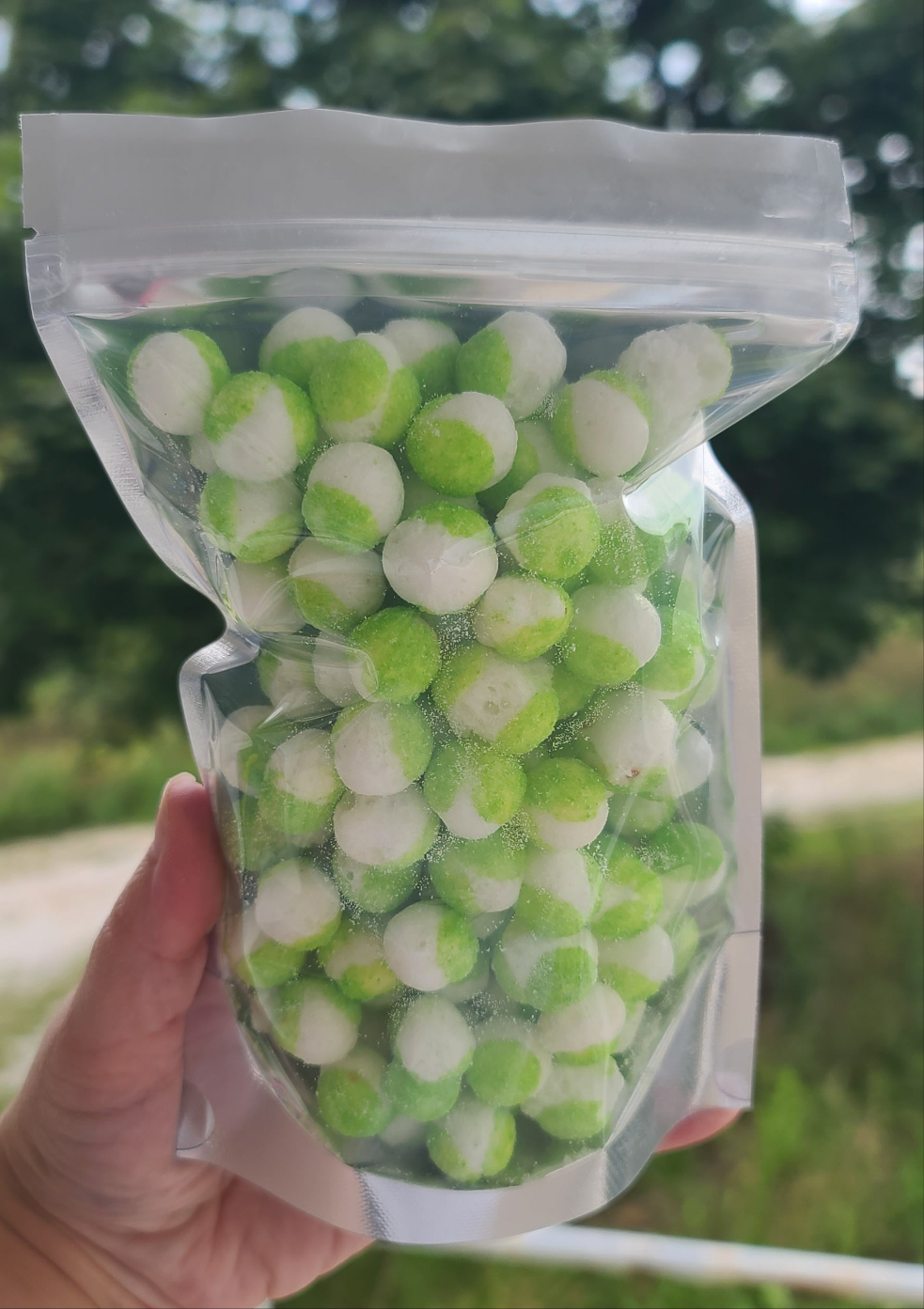 Freeze Dried Green Apple Frittles