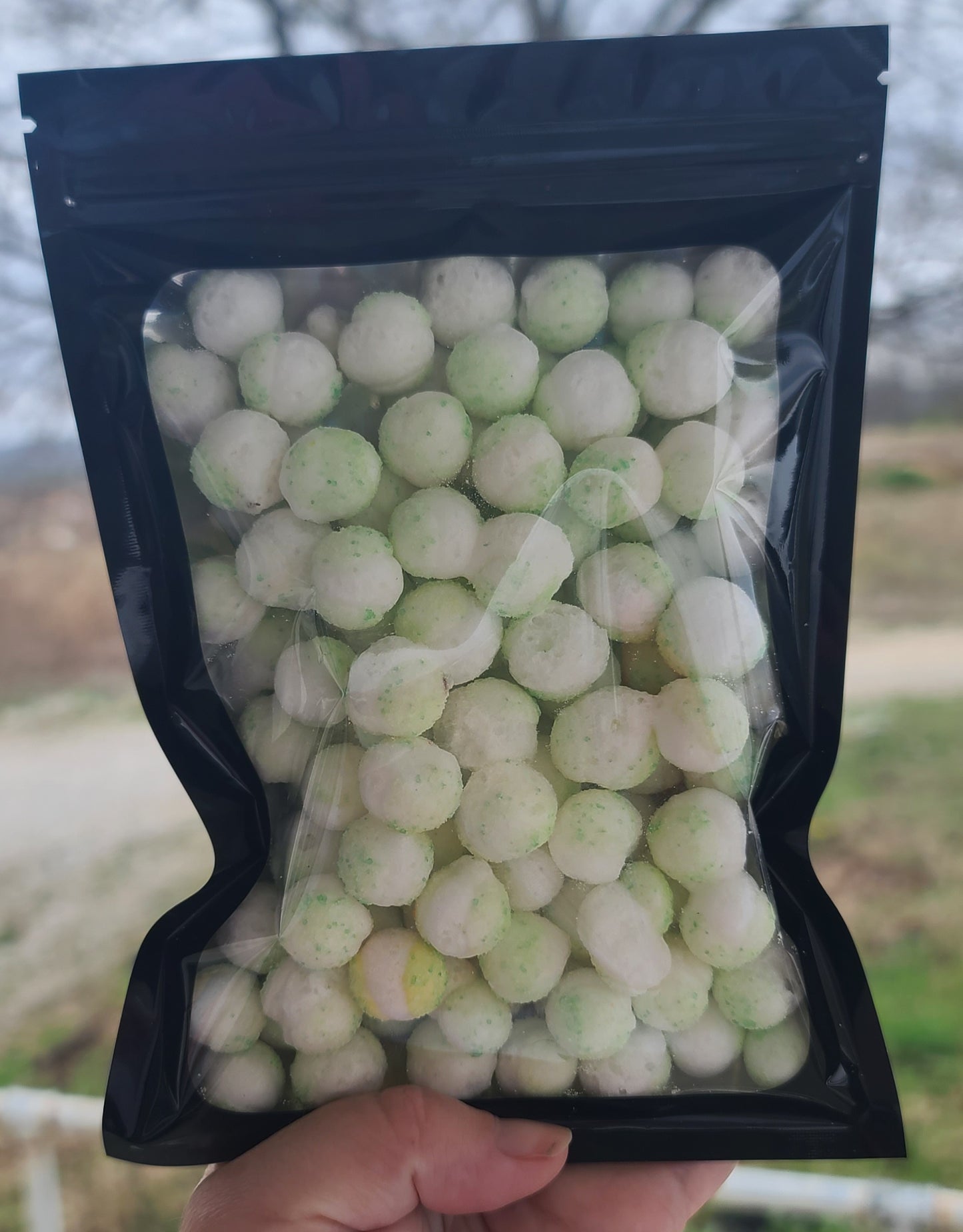 Freeze Dried Watermelon Frittles