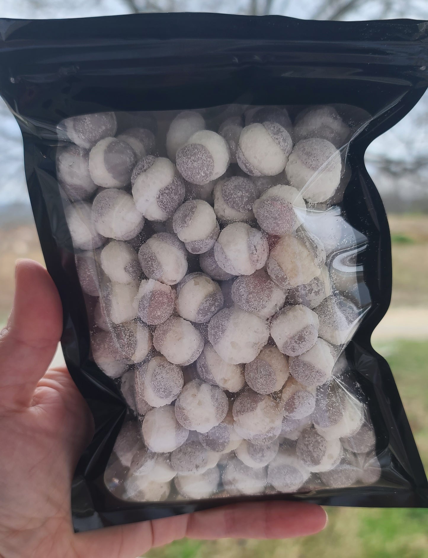 Freeze Dried Oreo Cheesecake Frittles