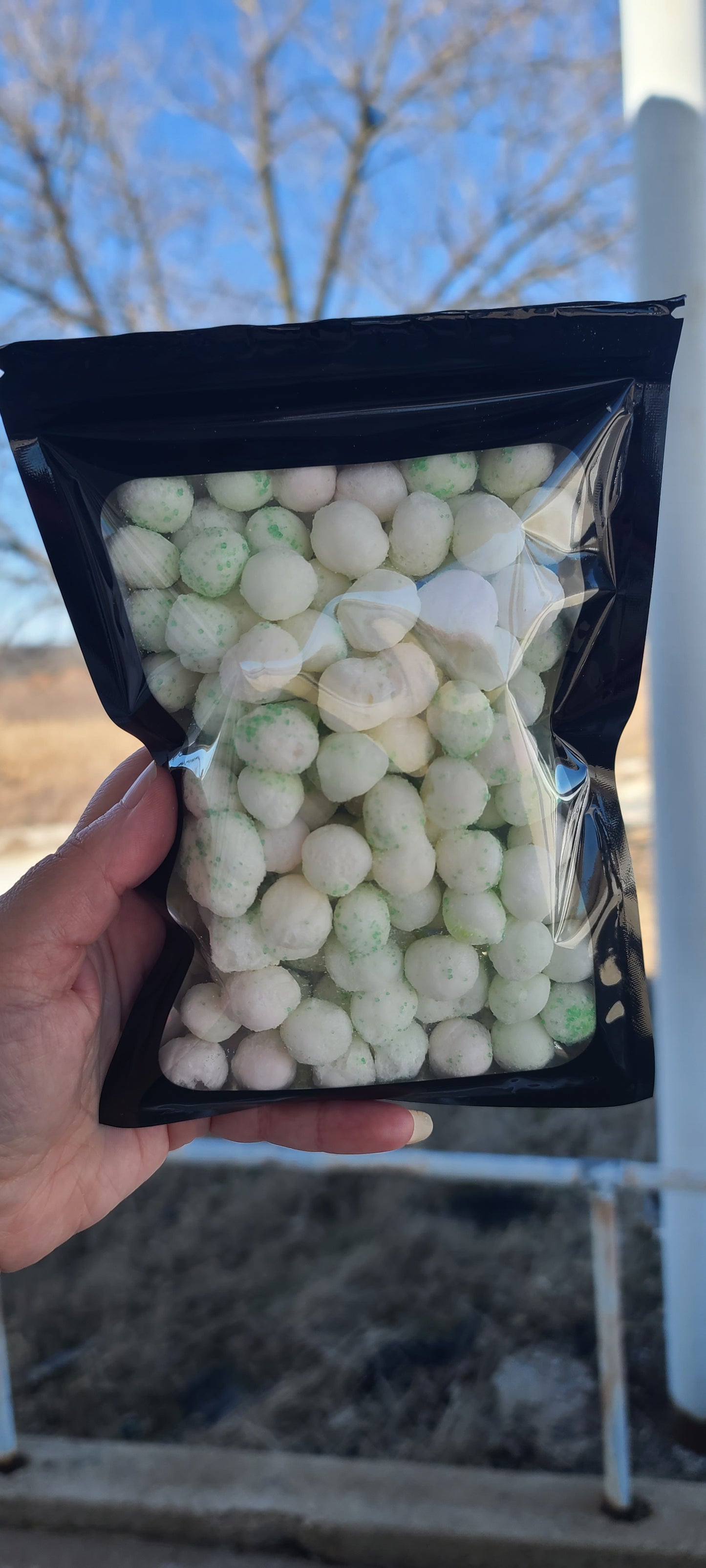 Freeze Dried Watermelon Frittles