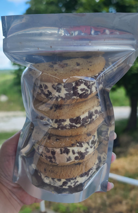 Freeze Dried Chocolate Chip Cookie Ice Cream Sandwich