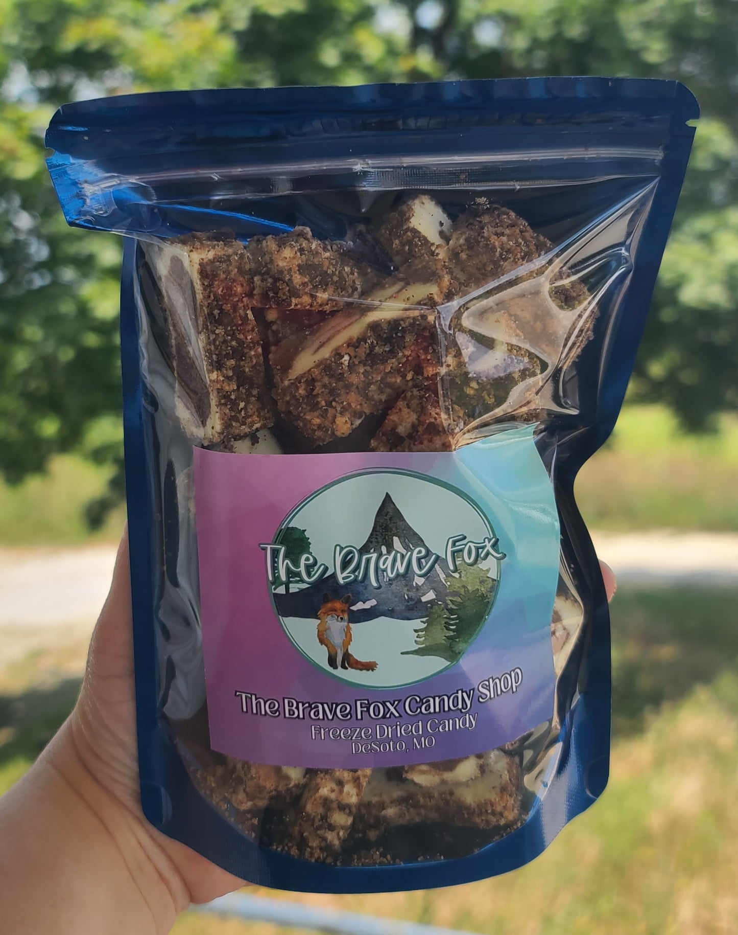 Freeze Dried Chocolate Eclair Ice Cream Bars