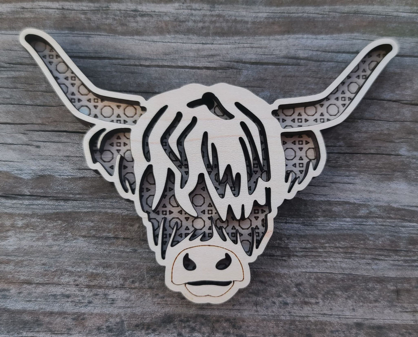 Highland Cow